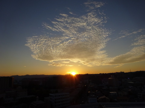 1dsc07291