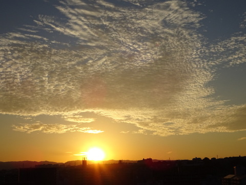 24dsc07280