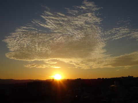 25dsc07281