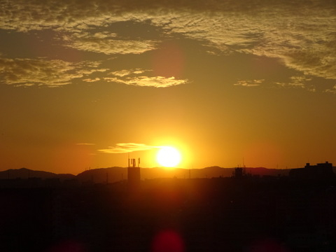 28dsc07284