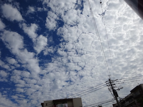 01dsc07304 01dsc07304