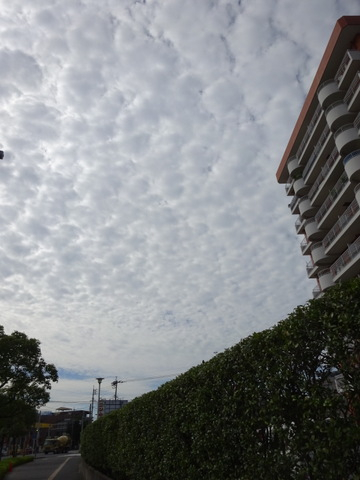 02dsc07307