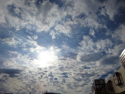 03dsc07308 03dsc07308