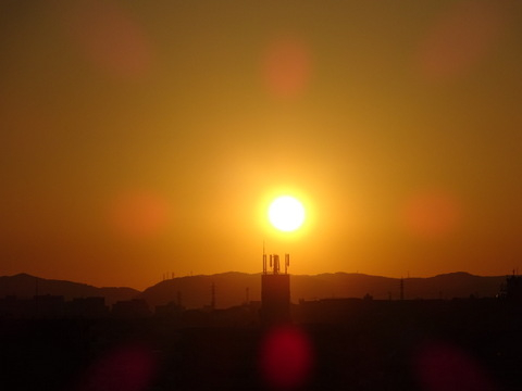 04dsc07390