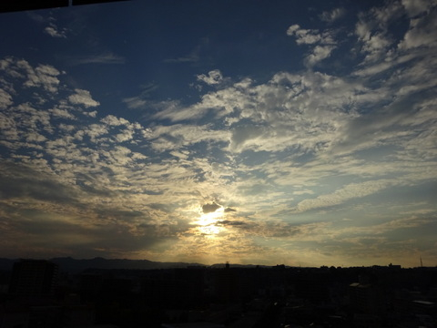 05dsc07310 05dsc07310