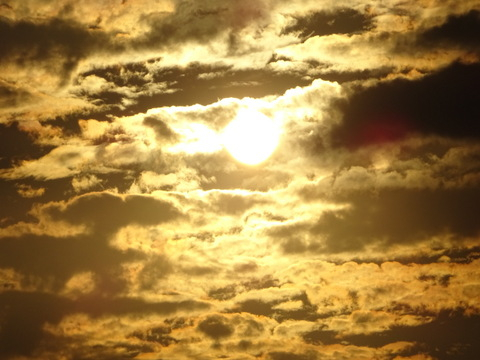 19dsc07324 19dsc07324