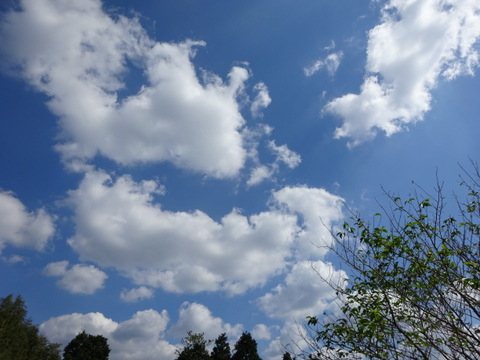 1dsc07364