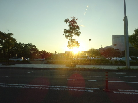 1dsc07385