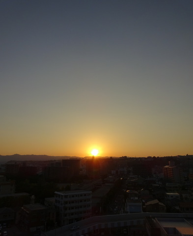 1dsc07394