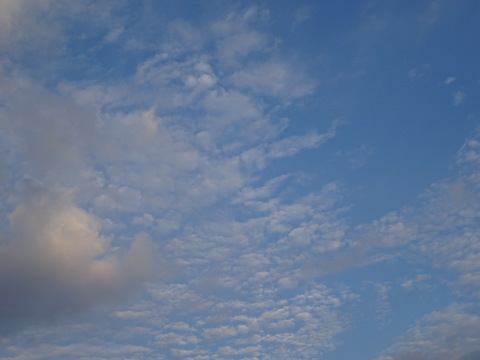 21dsc07326 21dsc07326