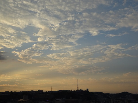 27dsc07332 27dsc07332