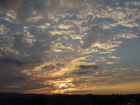 34dsc07339 34dsc07339