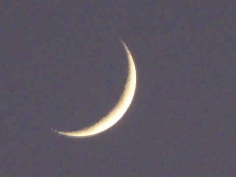 34dsc07420