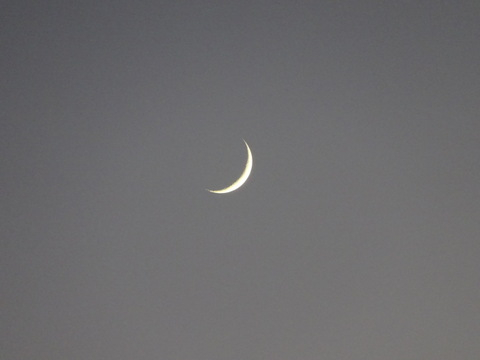 35dsc07421