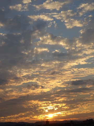 36dsc07341 36dsc07341