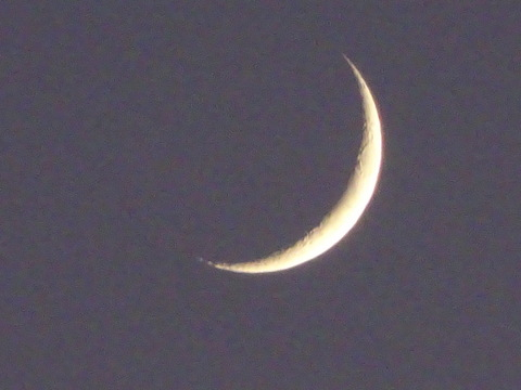 36dsc07422
