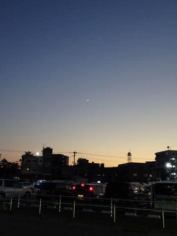38dsc07424