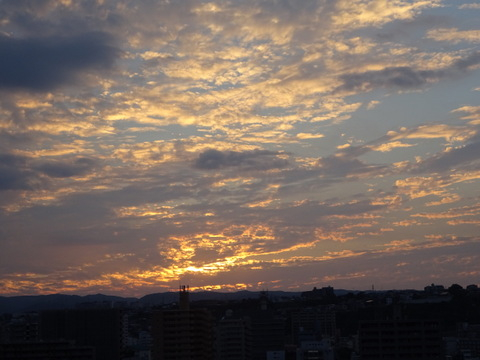 51dsc07356