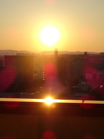 1dsc07431