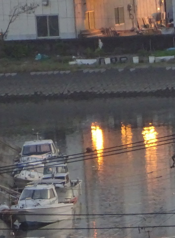 1dsc07436001