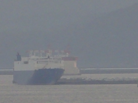 1dsc07445