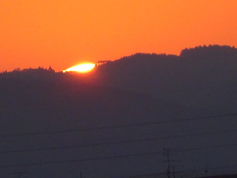 1dsc07459