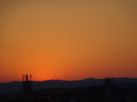 1dsc07460