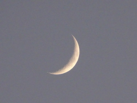 1dsc07462