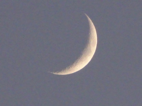 1dsc07463