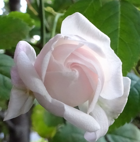 1dsc07480