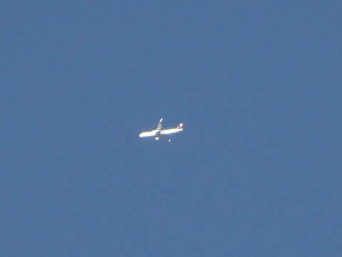 1dsc07499