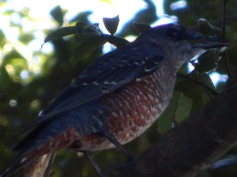 1dsc07537