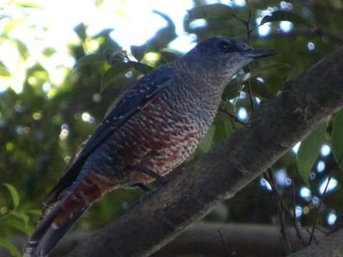 1dsc07541