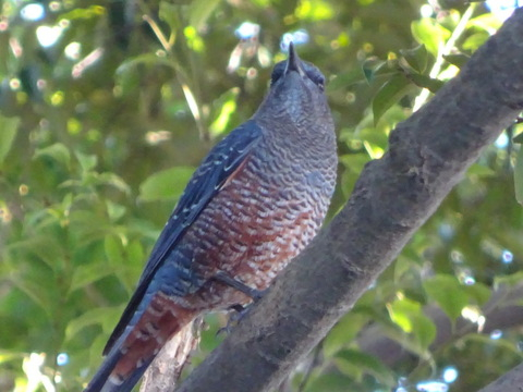 1dsc07543