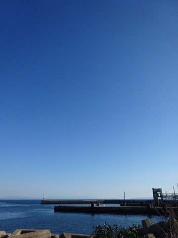 1dsc07550