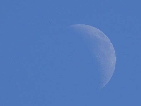 1dsc07531