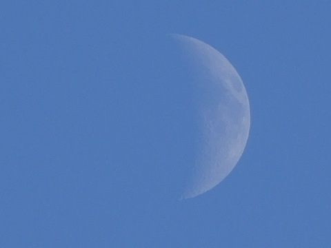 1dsc07589