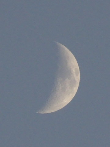 1dsc07606_2