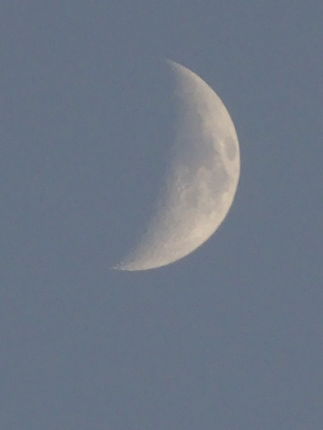1dsc07607