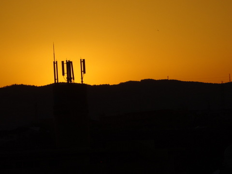1dsc07615