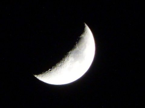 1dsc07616