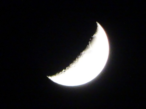 1dsc07617