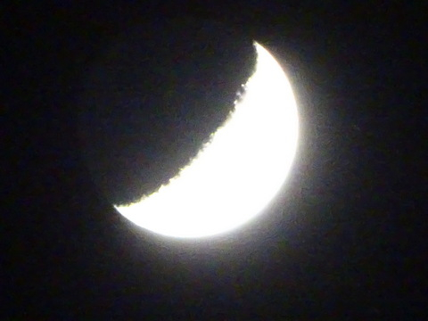 1dsc07619