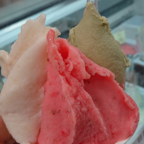 1dsc07745002 1dsc07745002