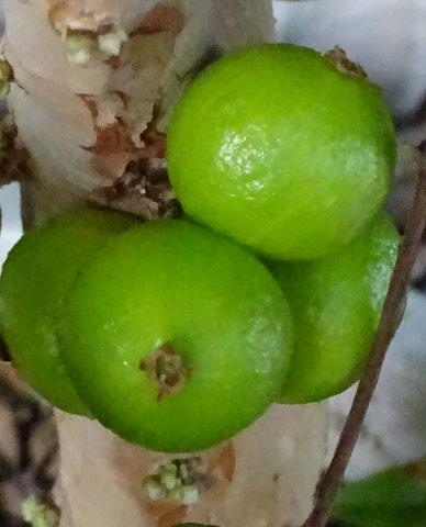 1dsc00508002 1dsc00508002