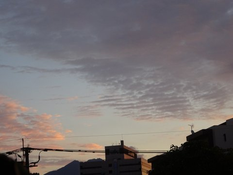 005dsc00678