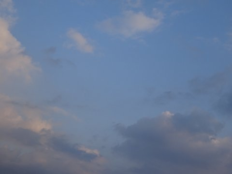 1dsc06385_2 1dsc06385_2