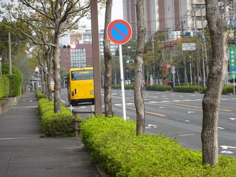 1dsc06387_2 1dsc06387_2