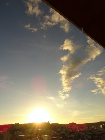 1dsc09804_2 1dsc09804_2