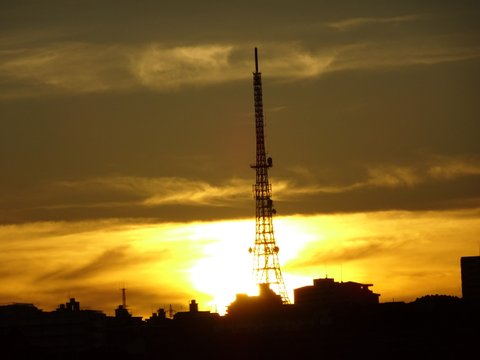 1dsc09816_2 1dsc09816_2